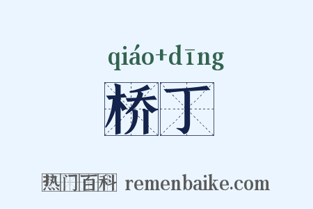 桥丁是什么意思的图片